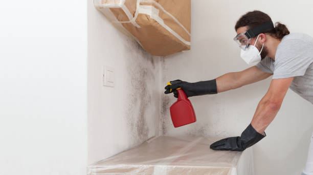 Professional Mold Inspection And Testing technician working in Reading, MA
